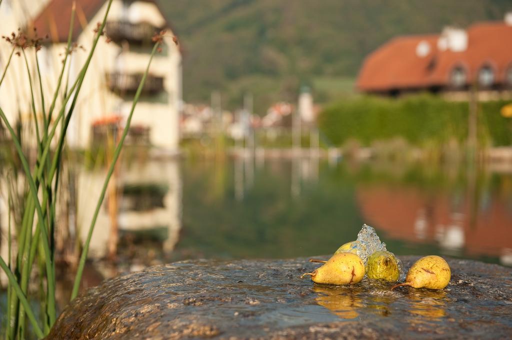 Aggsbach Romantikhotel Residenz Wachau מראה חיצוני תמונה